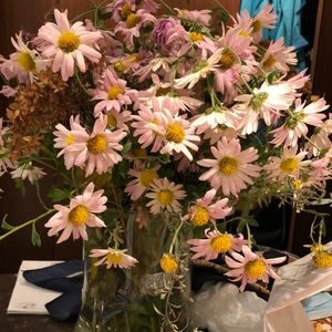 Meet your Posher, Rose